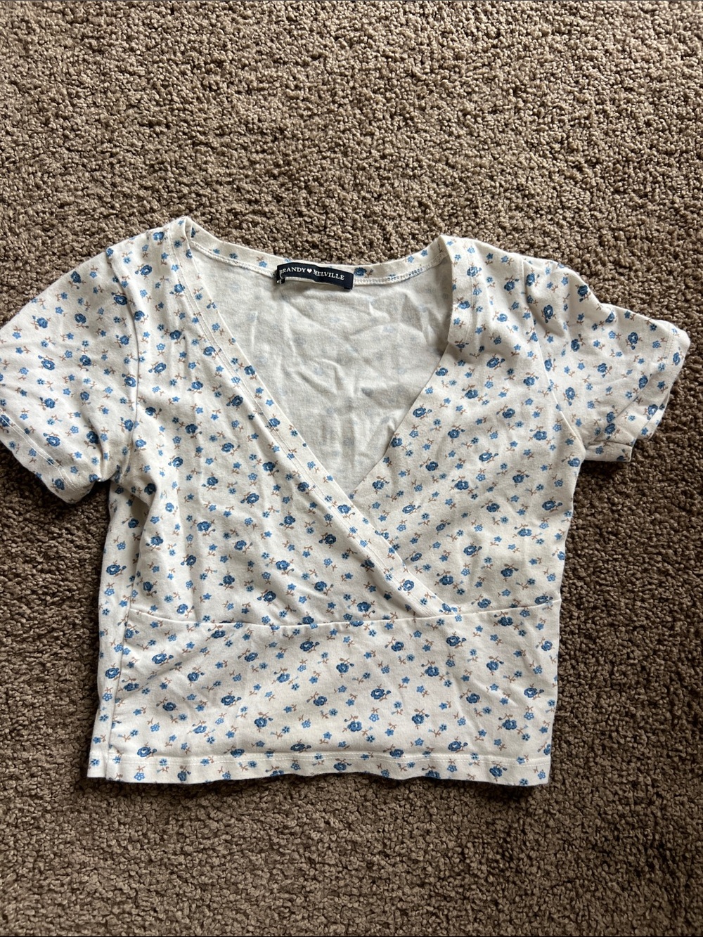 Brandy Melville White Crop Top with Blue Floral Print